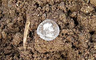 I znów skarb! Archeolodzy odnaleźli monety z I wieku